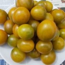 SEMINTE ROSII - T. 128 GREEN GRAPE