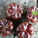 SEMINTE ARDEI - A 83 TOMATEN PAPRIKA CHOCOLATE - Img 2
