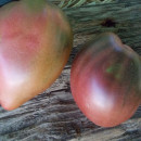 SEMINTE ROSII INIMA DE BOU - T 925 DWARF PURPLE HEART - Img 2