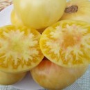 SEMINTE ROSII - T. 277 WHITE BEEFSTEAK - Img 6