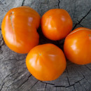 SEMINTE ROSII - T 823 STEN KA RAZIN ORANGE - Img 2