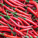 SEMINTE ARDEI IUTE - AI 131 SPANISH CHILLI RED neizolat