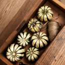 SEMINTE DOVLECEL - D 190 SWEET DUMPLING SQUASH - Img 5