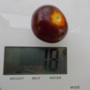 SEMINTE ROSII - T 1055 CHERRY BING TOMATO - Img 4