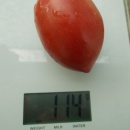 SEMINTE ROSII - T 1059 RASPBERRY TOMATO PEPPER - Img 2