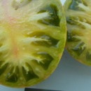 SEMINTE ROSII - T 1117 GREEN ZEBRA PINEAPPLE - Img 5
