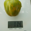 SEMINTE ROSII - T 1125 GREEN BELL - Img 2
