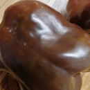 SEMINTE ARDEI - A 73 CHOCOLATE EMERALD GIANT - Img 3