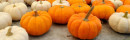 SEMINTE DOVLECEL - D 189 JACK BE LITTLE PUMPKIN - Img 2