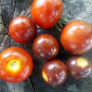 SEMINTE ROSII - T 1055 CHERRY BING TOMATO - Img 5