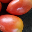 SEMINTE ROSII - T 1059 RASPBERRY TOMATO PEPPER - Img 3