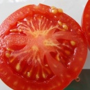 SEMINTE ROSII - T 1102 DELIGHTFUL TOMATO - Img 4