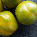 SEMINTE ROSII - T 1125 GREEN BELL