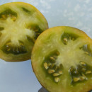 SEMINTE ROSII - T 949 KRYPTONITE - Img 4