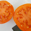 SEMINTE ROSII - T 965 BELARUS ORANGE - sezon scurt - Img 3