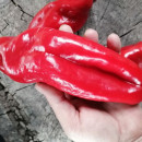 SEMINTE ARDEI - A 62- PALOMA RED PAPRIKA - Img 2