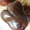SEMINTE ARDEI - A 73 CHOCOLATE EMERALD GIANT - Img 4