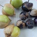 SEMINTE - D. 77 TOMATILLO VIOLET - PURPLE DE MILPA - Img 3