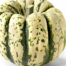 SEMINTE DOVLECEL - D 190 SWEET DUMPLING SQUASH - Img 6