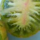 SEMINTE ROSII - T 1117 GREEN ZEBRA PINEAPPLE - Img 7
