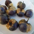 SEMINTE - D. 77 TOMATILLO VIOLET - PURPLE DE MILPA - Img 4