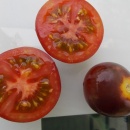 SEMINTE ROSII - T 1055 CHERRY BING TOMATO - Img 7