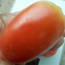 SEMINTE ROSII - T 1059 RASPBERRY TOMATO PEPPER - Img 5