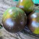 SEMINTE ROSII - T 949 KRYPTONITE - Img 6