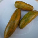 SEMINTE ROSII - T. 96 GREEN SAUSAGE