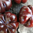 SEMINTE ARDEI - A 83 TOMATEN PAPRIKA CHOCOLATE - Img 6