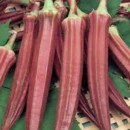 SEMINTE - D. 71 BAME ROSII BURGUNDY - OKRA - Img 2