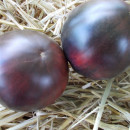 SEMINTE ROSII NEGRE - T 829 AMETIST HEART - Img 3