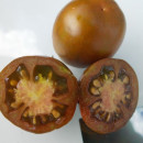 SEMINTE ROSII - T 725 STICK BROWN - Img 4