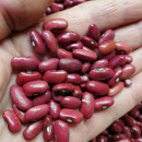 SEMINTE FASOLE - D 206 RUSS RED KIDNEY - Phaseolus vulgaris
