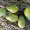 SEMINTE ROSII - T 990 EMERALD PEAR - Img 3