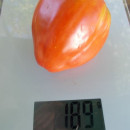 SEMINTE ROSII INIMA DE BOU - T 825 POLISH GIGANT HEART - Img 7