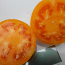 SEMINTE ROSII - T 719 LAPOT ORANGE - Img 3