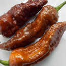 SEMINTE ARDEI IUTE - AI 99 SAY S X BHUT PHENO 2 CHOCO - NEIZOLAT - Img 4