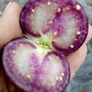 SEMINTE - D. 77 TOMATILLO VIOLET - PURPLE DE MILPA - Img 6