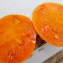 SEMINTE ROSII - T 747 MENONITE ORANGE - Img 3