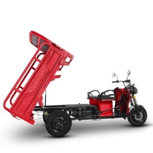 Triciclu Electric Voltarom, Fara Permis, Motor 3500W, Viteza Maxima 25km pe ora, autonomie pana la 70 km - Img 8