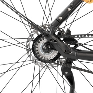 Bicicletă Electrică 250W, Voltarom C300, Baterie Samsung 36V 14.69Ah, Autonomie 120 km, Transmisie Carbon Gates, Roți 700C - Img 2