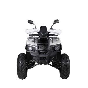 ATV Benzina 9,5CP, 180CC, Voltarom RA5, GRI - Img 2
