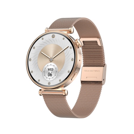 Blavec Smartwatch W17 Amber HD AMOLED (SWW17-RG) rose gold + 2 bands