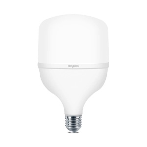 BRY ADVANCE 30W E27 T100 PLS 3000K LED SIJALICA
