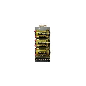 DS-PM1-I1-WE