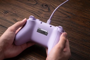 Gamepad 8BitDo Ultimate 2C Windows/Android/Hall Effect/Vibracija/typeC/Purple Edition - Img 2