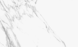 CALACATTA WHITE MATT