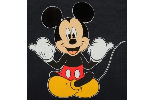 MICKEY CHEERFUL prazna pernica sa 3 pregrade - Img 6