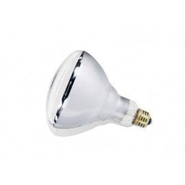 SIJALICA R-80 60W E-27 MAT - Img 2